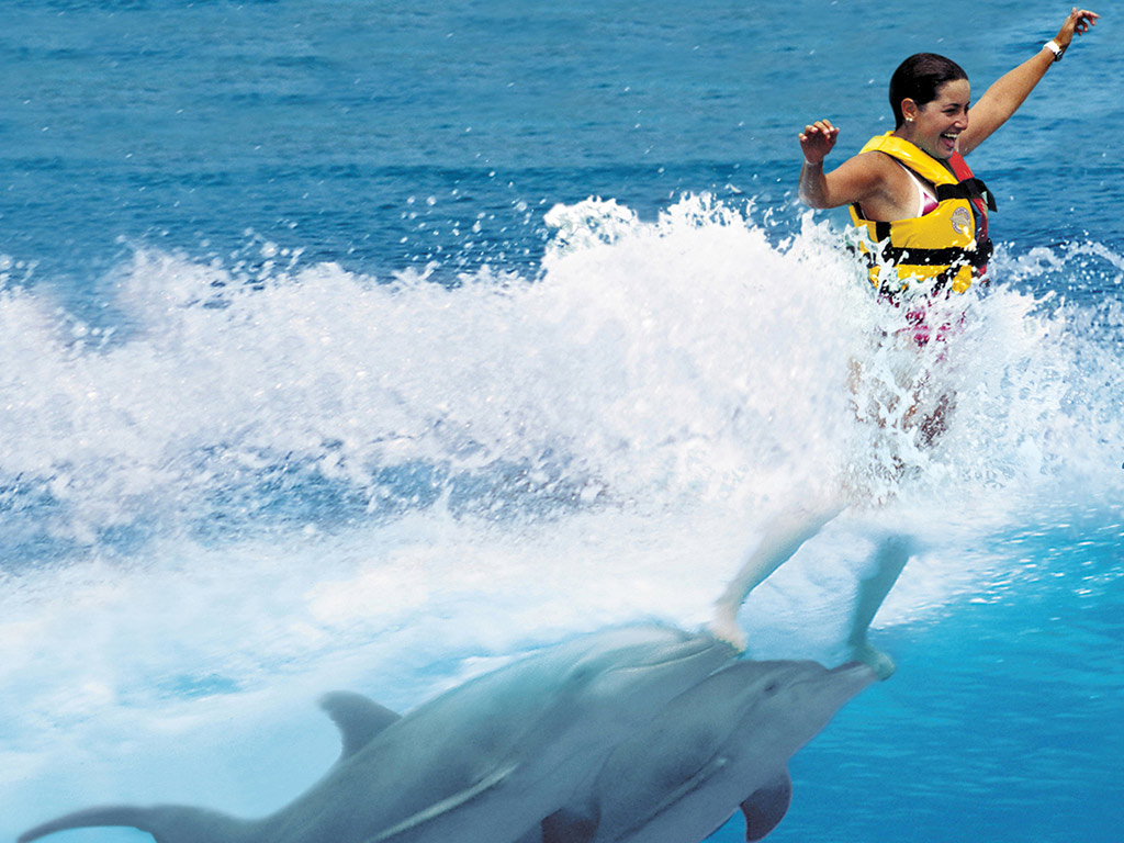 Dolphin Royal Swim, Aquaventuras