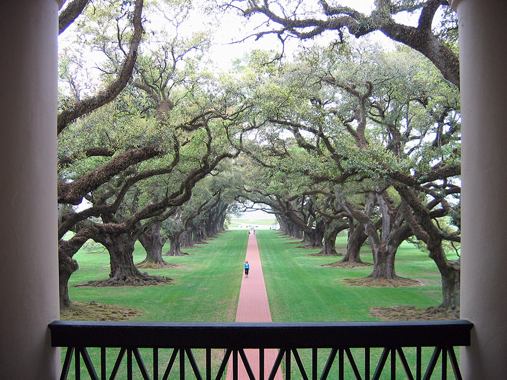 Oak Alley Plantation Tour