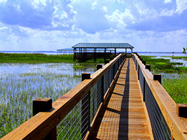 Wild Florida and Wildlife Park