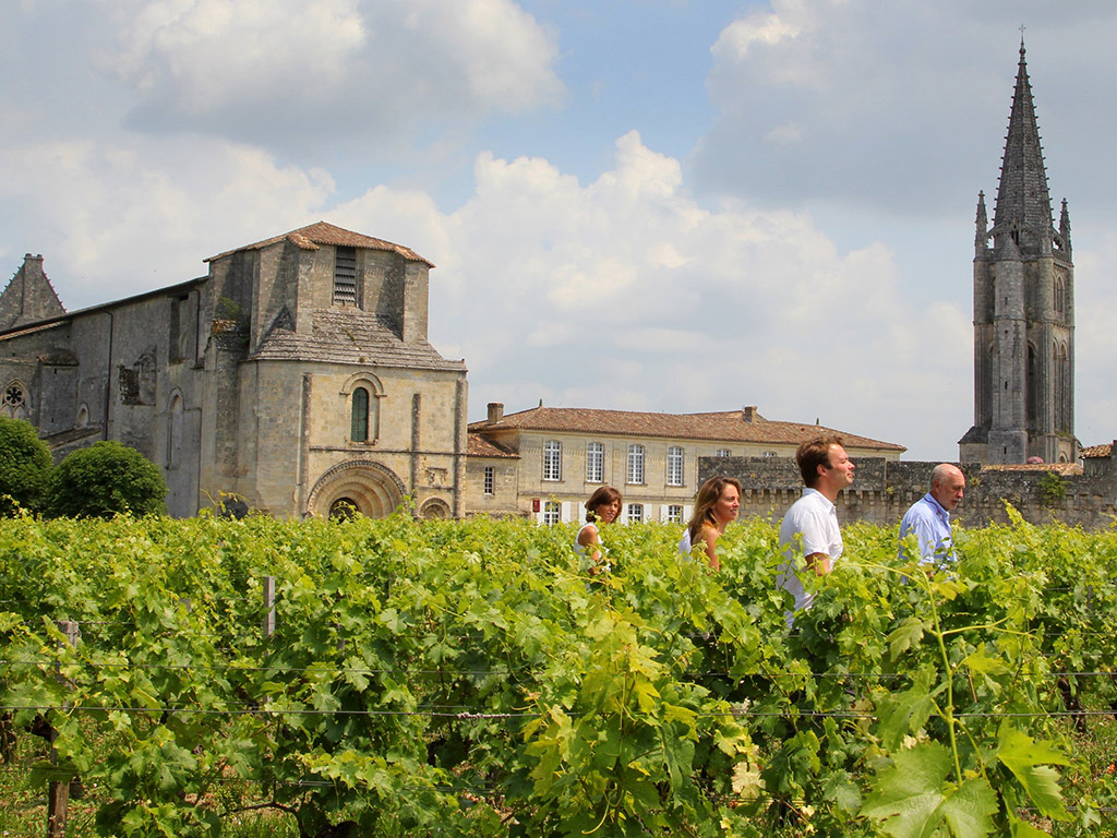 Afternoon Wine Tour Saint-Emilion (General)