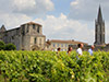 Afternoon Wine Tour Saint-Emilion