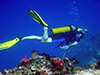 Scuba Diving
