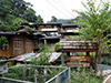 Discover Mae Kam Pong - Private tour