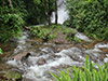 Doi Inthanon Park Adventure Tour - Dry Season From Hotel In Chiang Mai City Only (TTAC02)