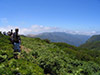 Levada Rabaçal Tour