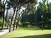 The best of Athens - Private