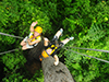 Eco Jungle Zipline Adventure Tour