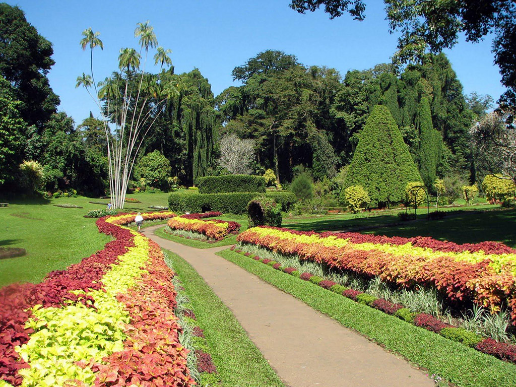 Discover Kandy City - Full-Day Tour - Colombo