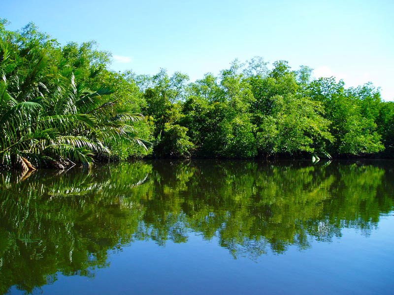 Madhu River Safari - Bentota