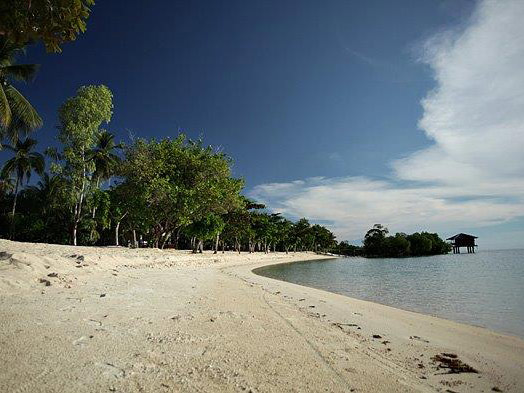 Full Day Honda Bay Tour - Small Group - Palawan