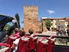 Alcudia Xperience