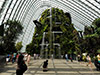 Singapore Gardens by the Bay half day tour with transfer
