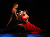Rojo Tango Show Dinner