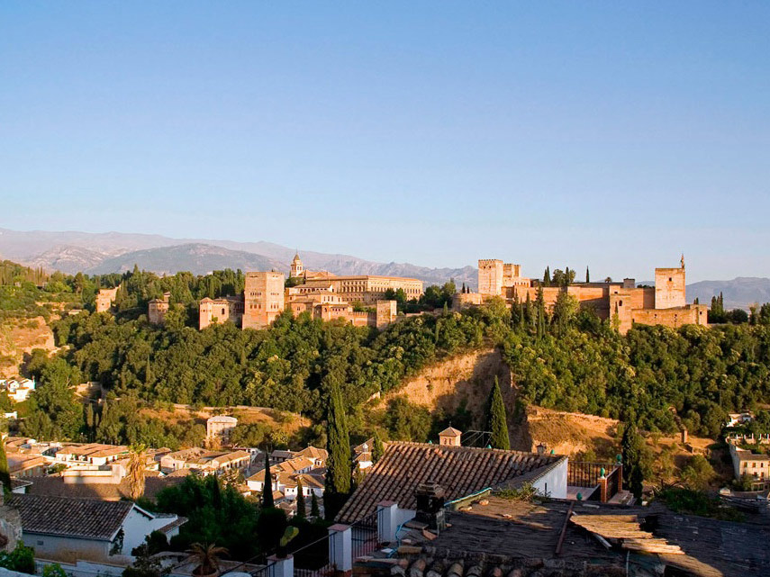 Alhambra and Generalife with optional visit to Nasrid Palaces - Half-Day Tour