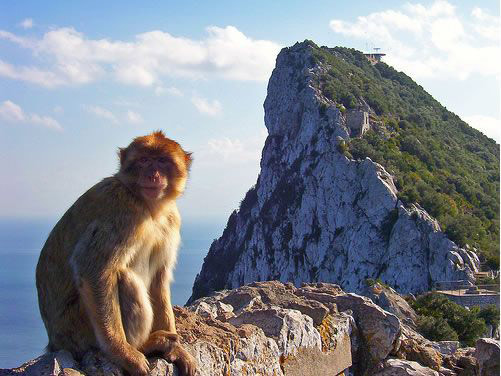 Gibraltar Tour