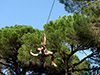 Parque Aventura - Tree climbing