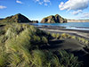 Coast And Rainforest Walk