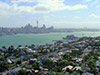 Half Day Auckland City Highlights + Kelly Tartlons