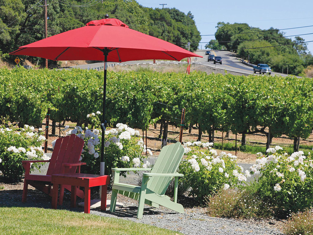 Wine and Hop On Hop off Tour - San Francisco