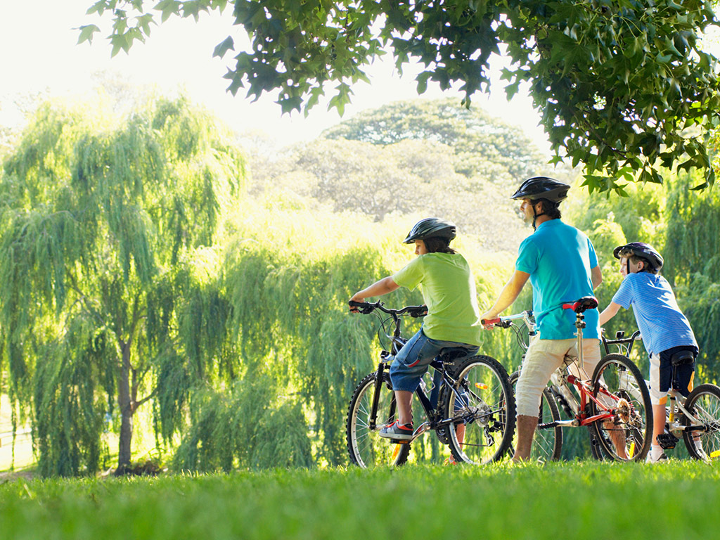 Central Park Bike Rental - New York