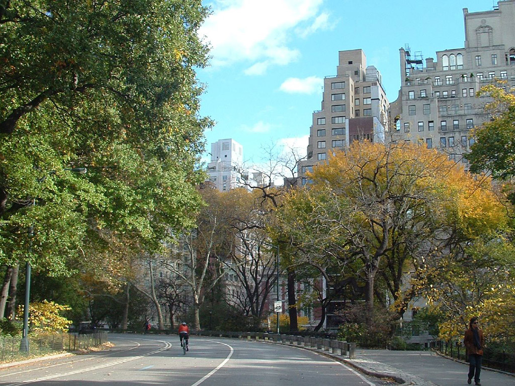 Central Park Bike Rental - New York