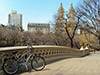 Alquiler de bicicletas en Central Park