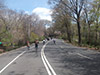 Alquiler de bicicletas en Central Park
