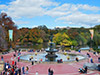 Alquiler de bicicletas en Central Park