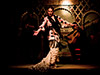 Tablao flamenco Torres Bermejas