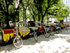 Central Park Pedicab Tour