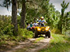 ATV off-road experience