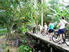 Classical Bangkok Bike Tour