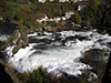Combo: Rhine Falls and The Best of Zurich
