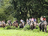 Rafting 5km and Elephant Ride