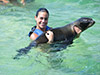 Dolphin Explorer - Aquatic Animals Adventure Park
