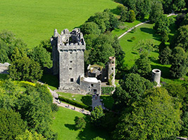 Waterford Crystal and Kilkenny City Tour - Full-Day Rail Tour