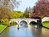Oxford and Cambridge with Picnic Lunch