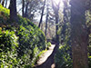 Paradise Valley- Half day levada walk