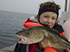Cod and Flounder Fishing at Oresund