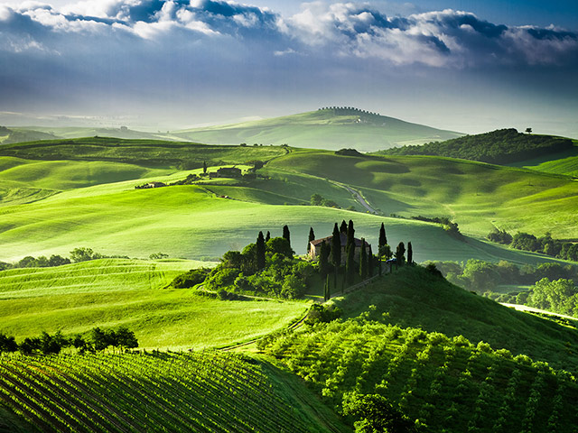 Tuscany Wine and Hills from Siena