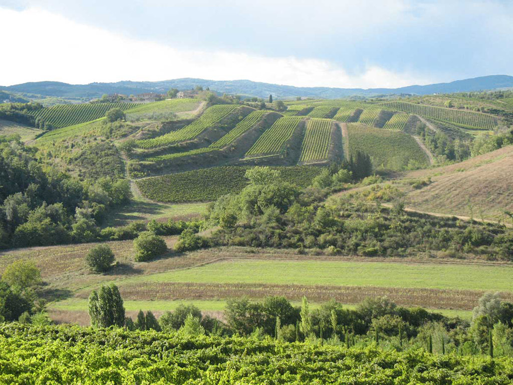 San Gimignano, Chianti and Montalcino - Small Group Full-Day Tour (Tour)