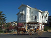 Cruise to Princes' islands: walk in Büyükada - Small Group