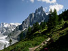 Full package: Aiguille du Midi, Mer de Glace, Petit Train and Classic Lunch