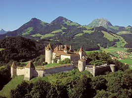 Gruyères-Golden Excursion from Lausanne