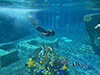 Seapark - From Alanya and Side