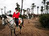 Horse Riding Expedition in Marrakech