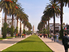 Caleche Tour to Agadir Medina