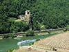 Day Tour to the Rhine Valley + Meal & Wine Tasting