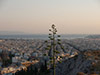 In the footsteps of Socrates - Private