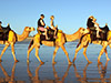 Souss-Massa National Park Camel Trek